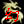   FableRO 2024 -  Shadr45rus |    MMORPG Ragnarok Online   FableRO: Wings of Hellfire,   Monk, Deviling Rucksack,   