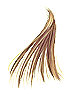   Fable.RO PVP- 2024 -   - Golden Hair |    MMORPG Ragnarok Online   FableRO:  , Black Ribbon,    ,   