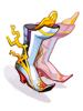   Fable.RO PVP- 2024 -   - Variant Shoes |    MMORPG Ragnarok Online   FableRO:  mmorpg,   , Wings of Serenity,   