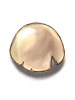   Fable.RO PVP- 2024 -   - Egg Shell |     MMORPG Ragnarok Online  FableRO: Siroma Wings,  ,  ,   