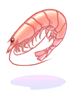   Fable.RO PVP- 2024 -   - Shrimp |    Ragnarok Online MMORPG   FableRO:  , Yang Wings,  ,   