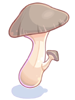   Fable.RO PVP- 2024 -  - Edible Mushroom |    Ragnarok Online  MMORPG  FableRO:   ,   Baby Star Gladiator,   Novice High,   