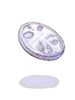   Fable.RO PVP- 2024 -   - Platinum Coin |    Ragnarok Online MMORPG   FableRO:   FableRO,  ,   High Wizard,   