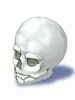   Fable.RO PVP- 2024 -   - Skull |    MMORPG Ragnarok Online   FableRO:   Baby Swordman,  ,   ,   