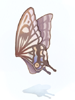   Fable.RO PVP- 2024 -   - Giant Butterfly Wing |    Ragnarok Online  MMORPG  FableRO:   Soul Linker, Blue Swan of Reflection,   Gypsy,   