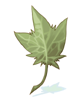   Fable.RO PVP- 2024 -   - Huge Leaf |    Ragnarok Online  MMORPG  FableRO:  ,  , ,   