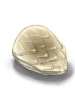   Fable.RO PVP- 2024 -   - Scale Shell |     MMORPG Ragnarok Online  FableRO: !, ,  ,   